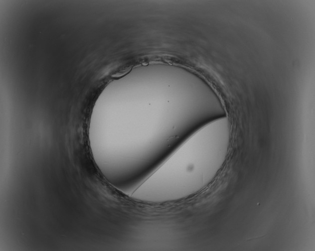 X0000088131159200705140951