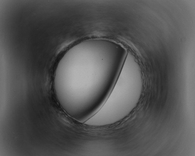 X0000088131160200705140951