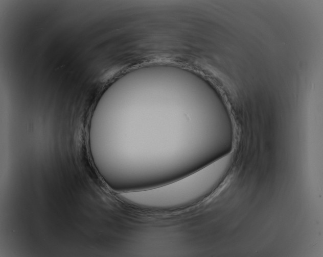 X0000088131161200705140951