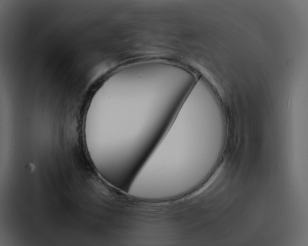 X0000088131163200705140951