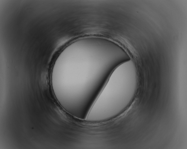 X0000088131164200705140951