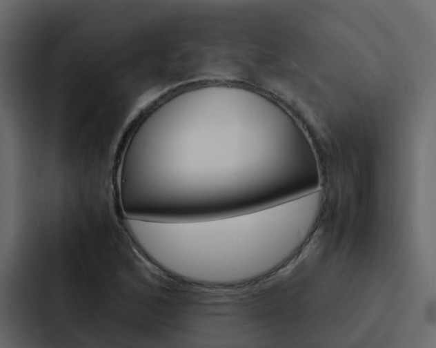 X0000088131168200705140951