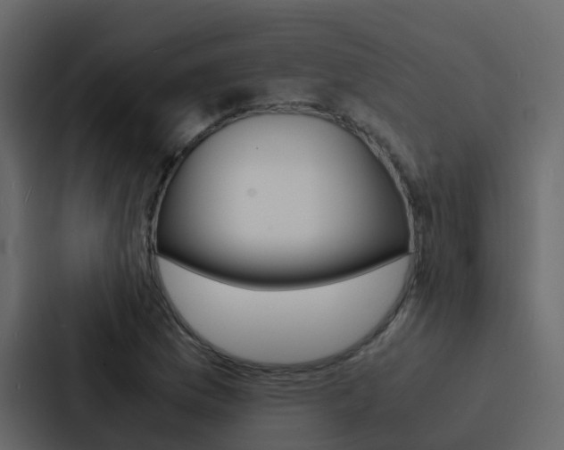 X0000088131169200705140951