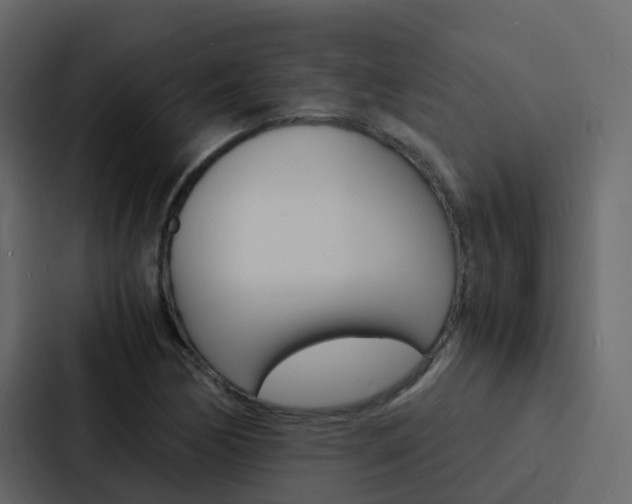 X0000088131170200705140951