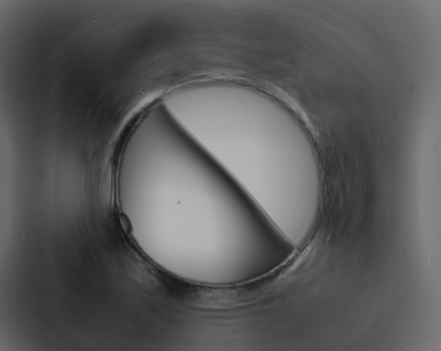 X0000088131171200705140951