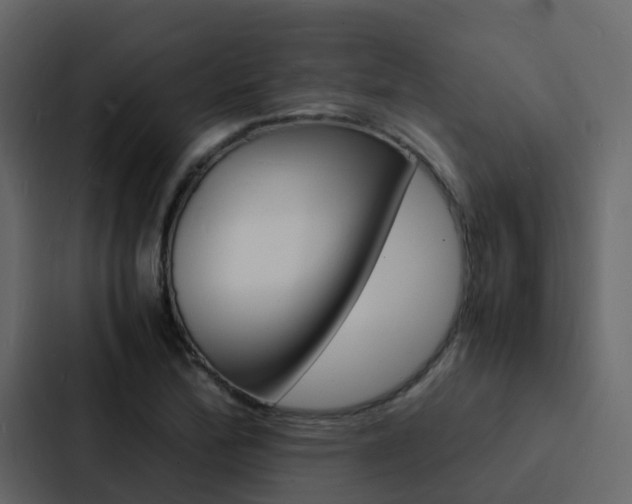 X0000088131172200705140951