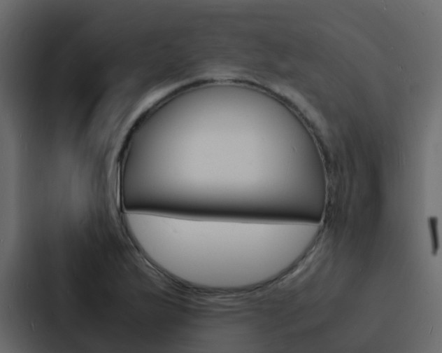 X0000088131175200705140951
