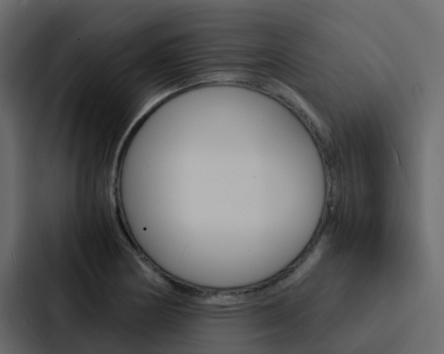 X0000088131178200705140951