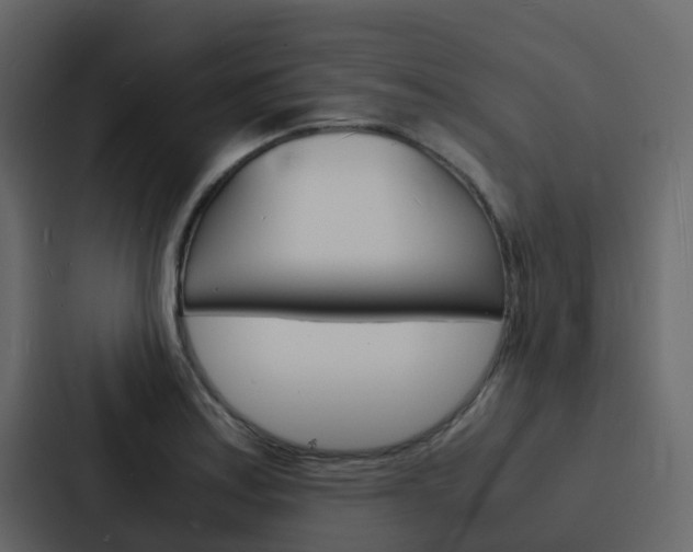 X0000088131179200705140951