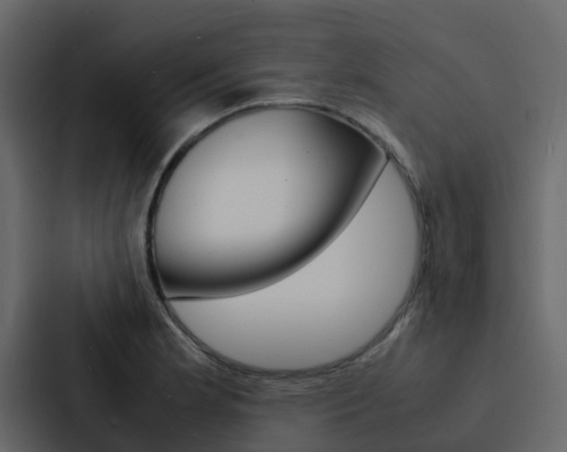X0000088131181200705140951