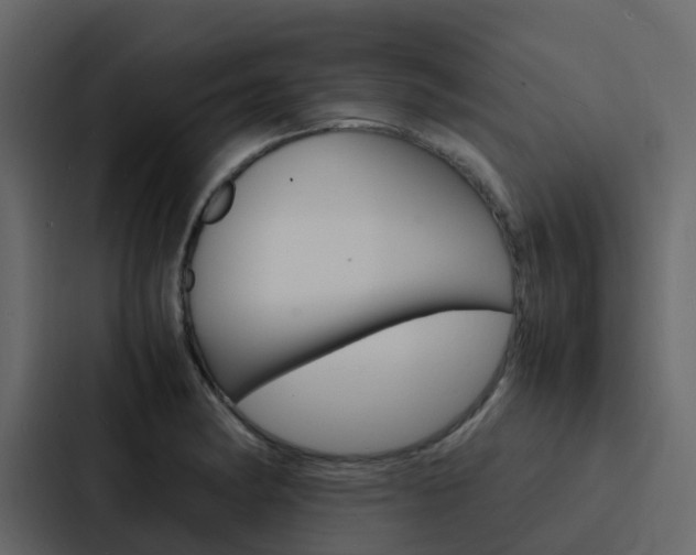 X0000088131182200705140951