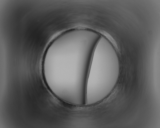 X0000088131183200705140951