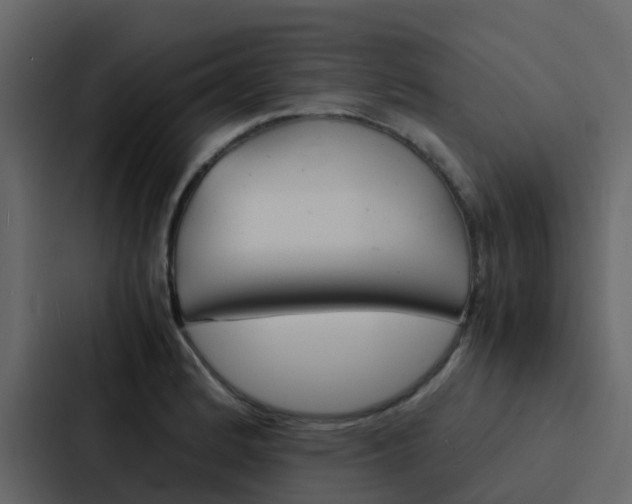 X0000088131184200705140951