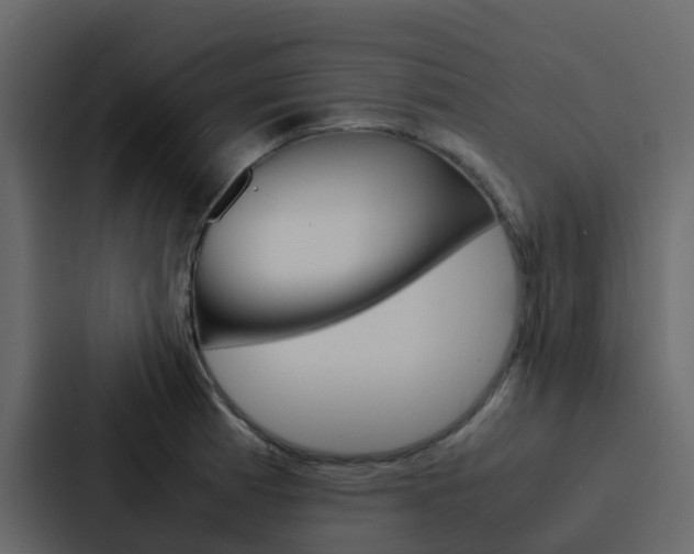 X0000088131185200705140951