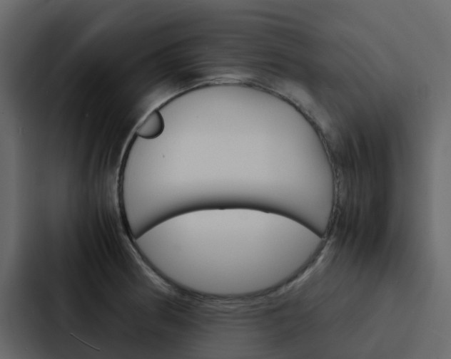 X0000088131186200705140951