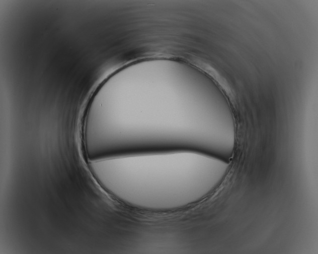 X0000088131187200705140951