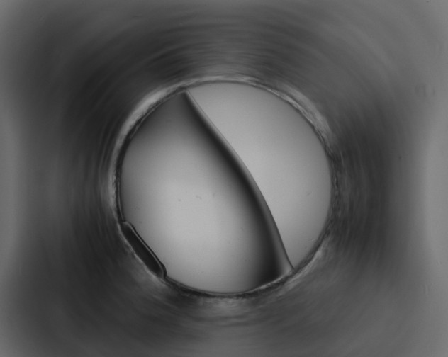 X0000088131188200705140951