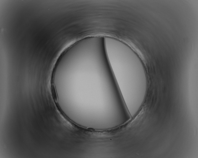 X0000088131189200705140951
