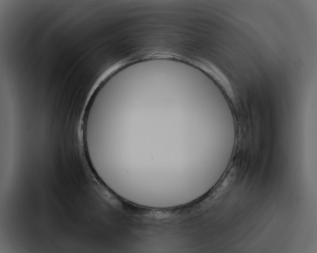 X0000088131190200705140951