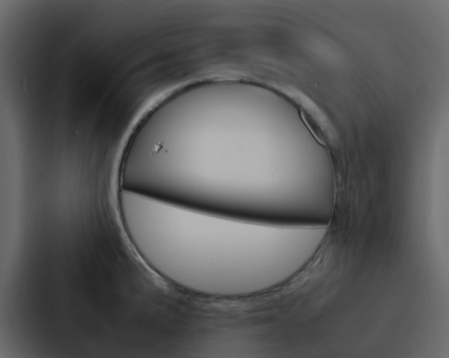 X0000088131191200705140951