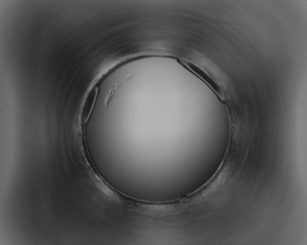X0000088131192200705140951