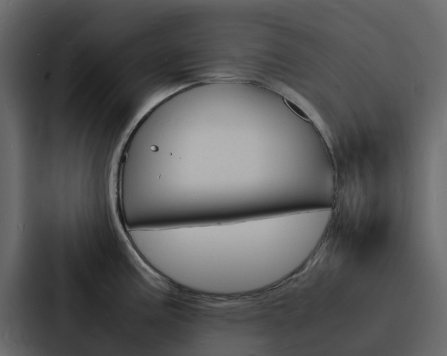 X0000088131195200705140951
