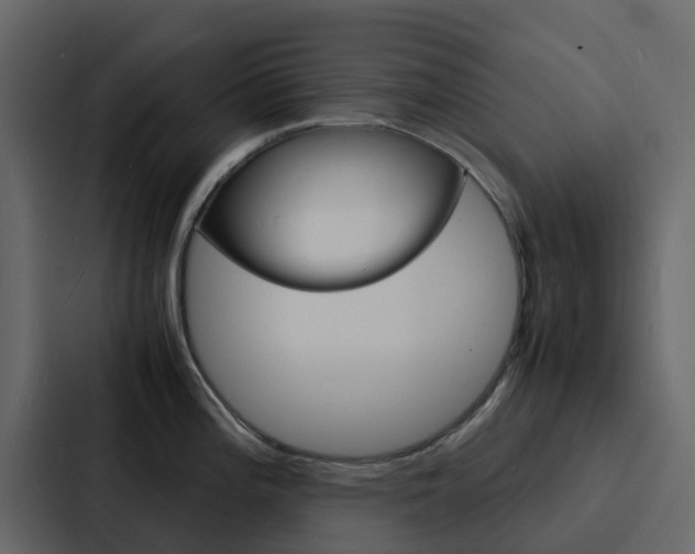 X0000088131196200705140951