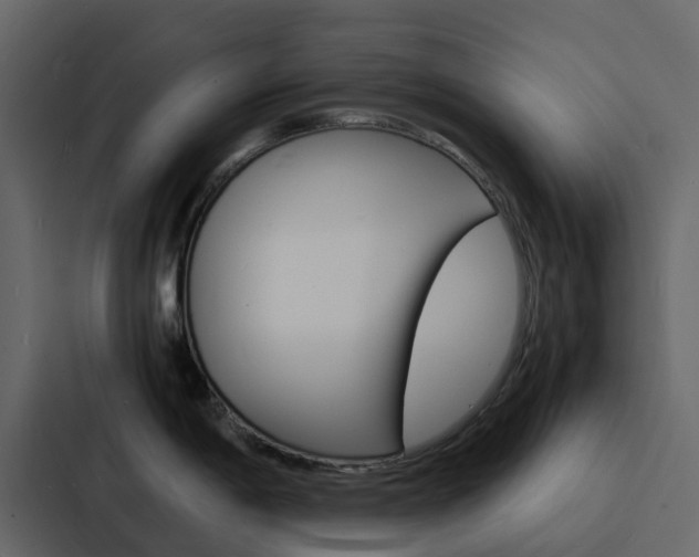 X0000088131198200705140951
