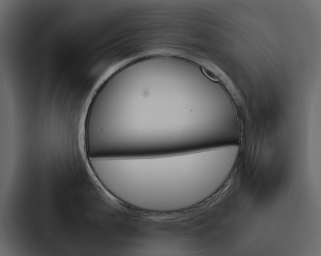 X0000088131199200705140951