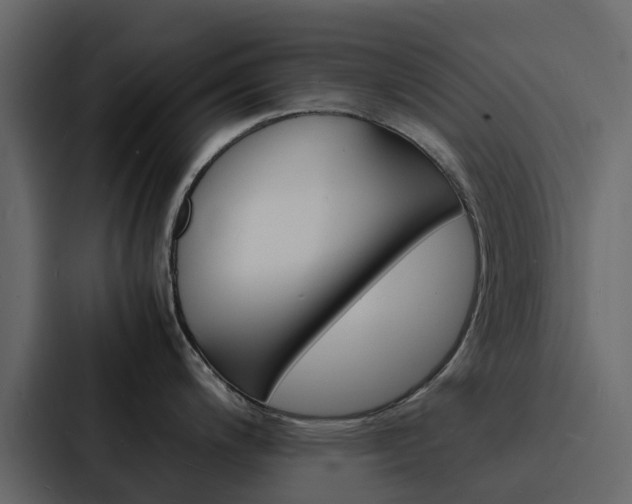 X0000088131200200705140951