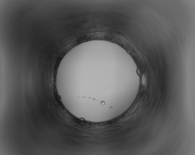 X0000088131203200705140950