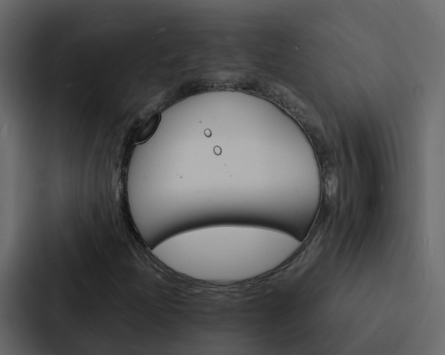 X0000088131204200705140950
