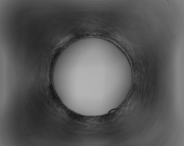X0000088131205200705140950