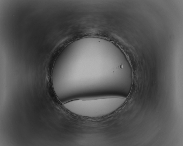 X0000088131206200705140950