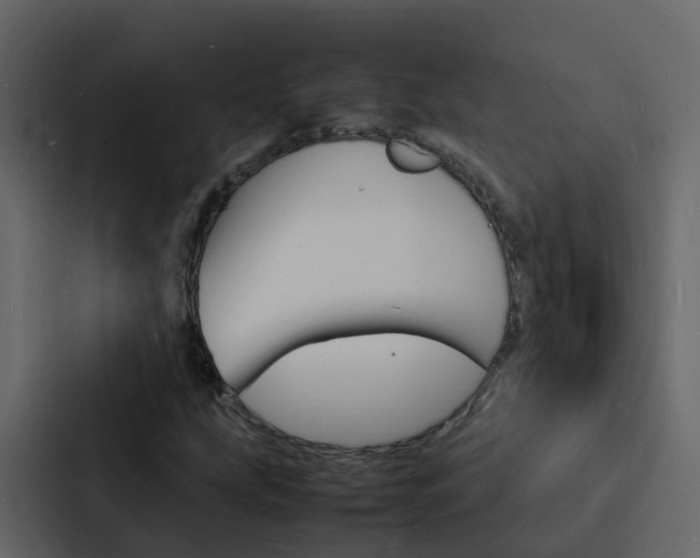 X0000088131207200705140950