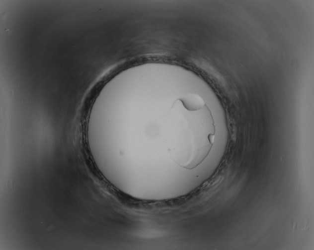X0000088131208200705140950