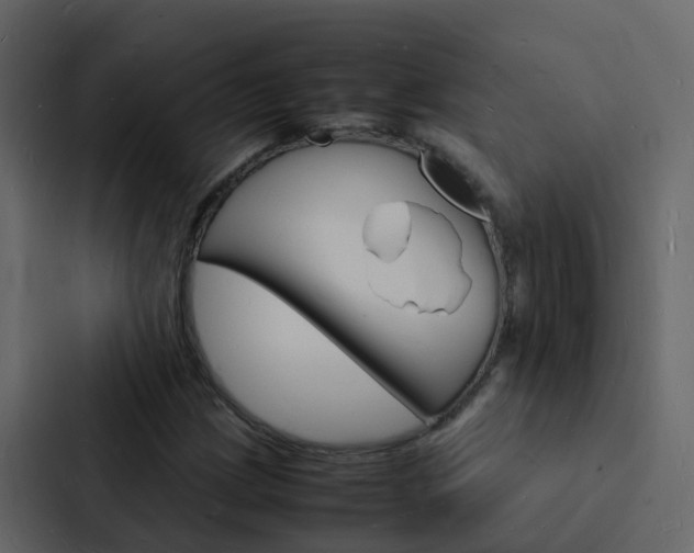 X0000088131209200705140950