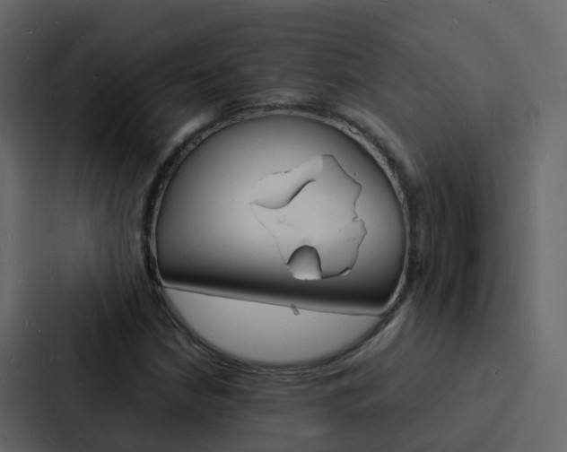 X0000088131210200705140950