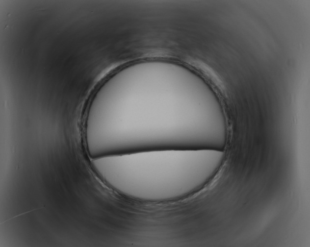 X0000088131212200705140950