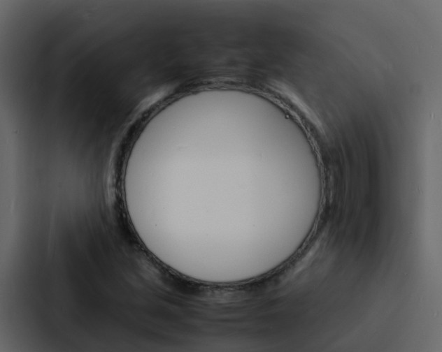 X0000088131213200705140950