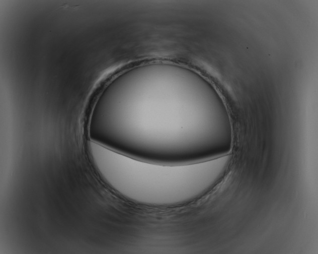 X0000088131214200705140950
