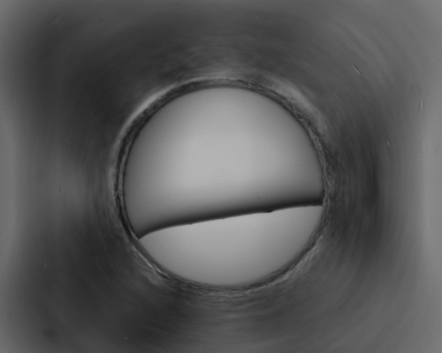 X0000088131216200705140950