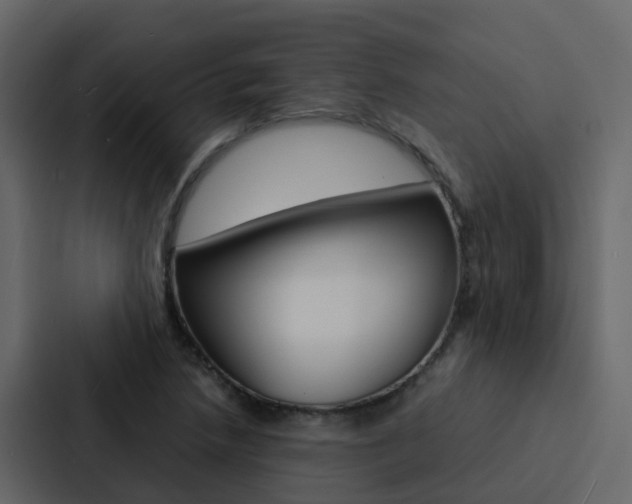 X0000088131218200705140950