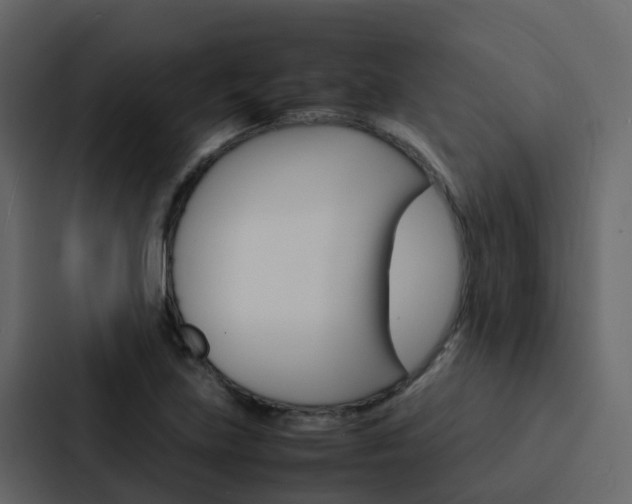 X0000088131219200705140950