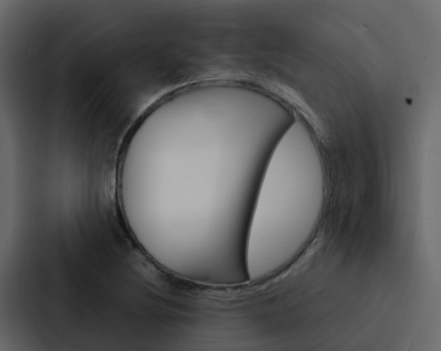 X0000088131220200705140950