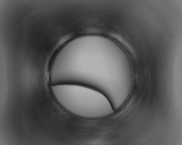 X0000088131221200705140950