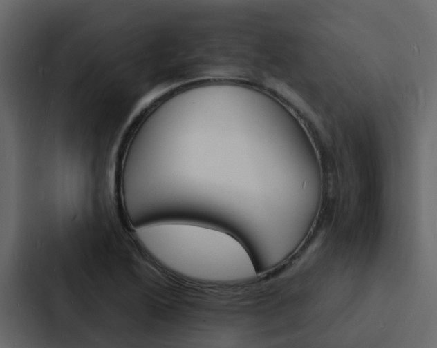 X0000088131222200705140950