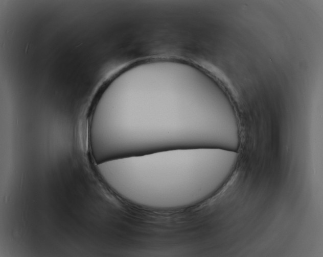 X0000088131223200705140950