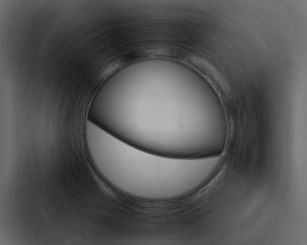 X0000088131225200705140950