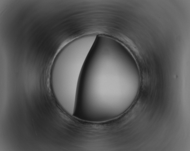 X0000088131226200705140950